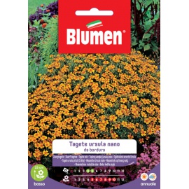 BLUMEN TAGETE URSULA NANO DA RODURA