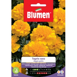 BLUMEN TAGETE NANO GIALLO DOPPIO