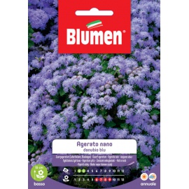 BLUMEN AGERATO NANO DANUBIO BLU