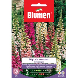 BLUMEN DIGITALE EXCELSIOR IN MISCUGLIO