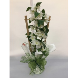 DENDROBIUM BIANCO CONFEZIONATO CON RETINA