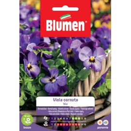 BLUMEN VIOLA CORNUTA BLU