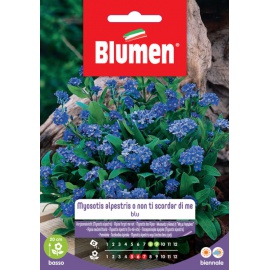BLUMEN NON TI SCORDAR DI ME BLU
