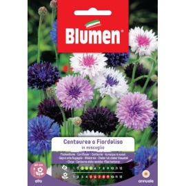 BLUMEN FIORDALISO IN MISCUGLIO
