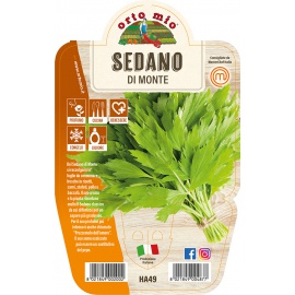 LEVISTICO O SEDANO DI MONTE