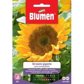BLUMEN GIRASOLE GIGANTE SEMI COMMESTIBILI