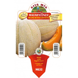 MELONE RETATO CON FETTA MAGNIFICENZA