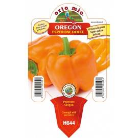 PEPERONE ARANCIO H644