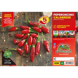 PEPERONCINO PICCANTE DIAVOLICCHIO CALABRESE