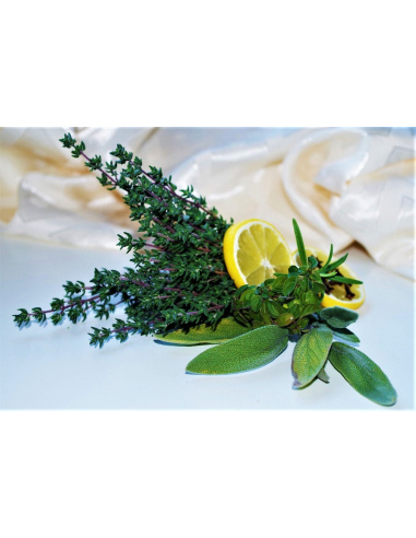 VENEQU RUB UNIVERSALE SPEZIATO