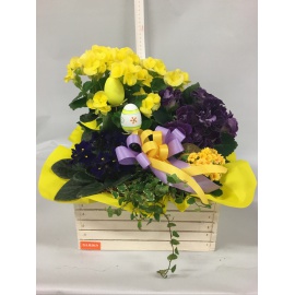 COMPOSIZIONE PIANTE FIORITE MISTE CON CASSETTA IN LEGNO