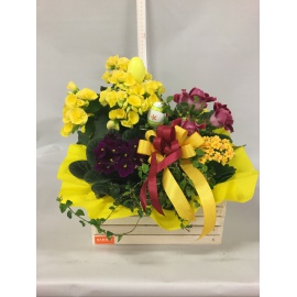 COMPOSIZIONE PIANTE FIORITE MISTE CON CASSETTA IN LEGNO BIANCA 