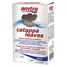 CATAPPA
