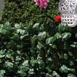 VERDEMAX SIEPE VERDECOR A FOGLIE TIPO EDERA 