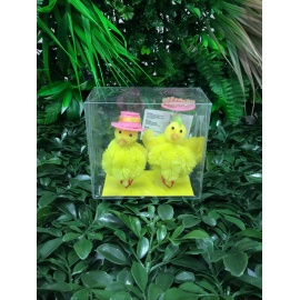 CONFEZIONE COPPIA 2 PULCINI GIALLI CON CAPPELLO 