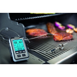 TERMOMETRO DIGITALE A SONDA... 2