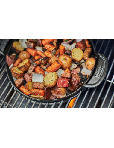 PIASTRA IN GHISA GBS WEBER