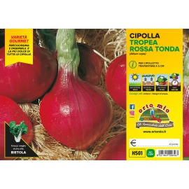 CIPOLLA TROPEA ROSSA TONDA H501