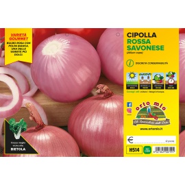 CIPOLLA ROSSA DA INVERNO ''DI CERTALDO'' H522