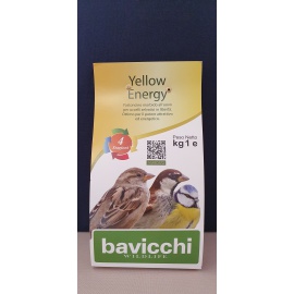 PASTONCINO YELLOW ENERGY