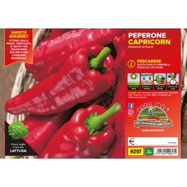 PEPERONE A CORNO PESCARESE