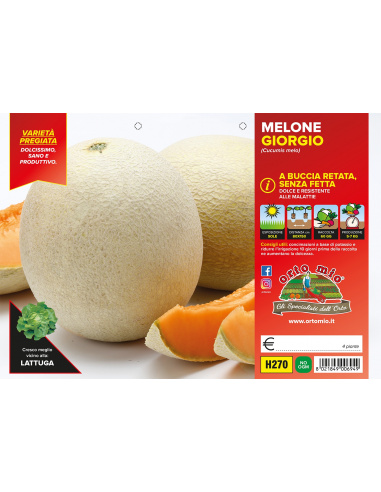 MELONE RETATO CON FETTA H270