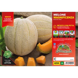 MELONE RETATO CON FETTA H259