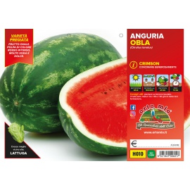 ANGURIA CRIMSON H010