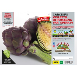 ANGURIA CRIMSON OBLA H010