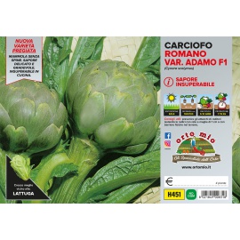 CARCIOFO VIOLETTO ROMAGNOLO H450