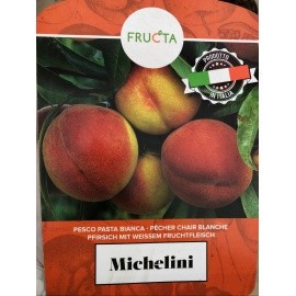 PESCO PASTA BIANCA MICHELINI