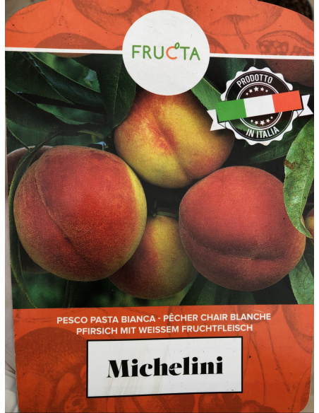 PESCO PASTA BIANCA MICHELINI
