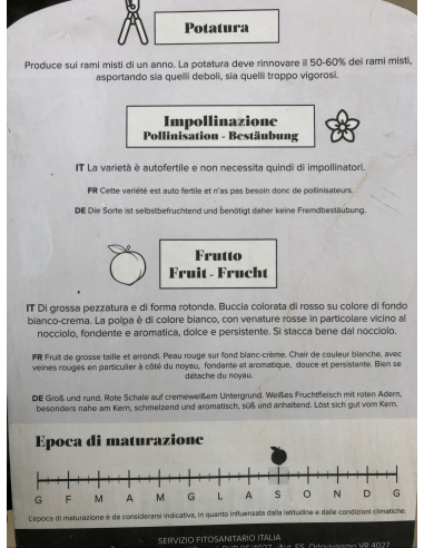 PESCO PASTA BIANCA MICHELINI