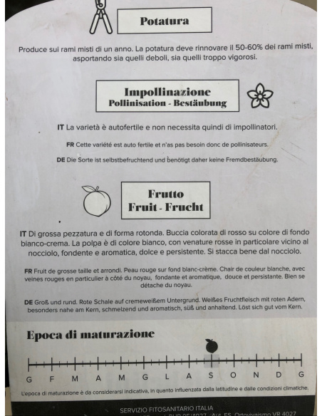 PESCO PASTA BIANCA MICHELINI