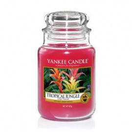 YANKEE CANDLE TROPICAL JUNGLE 