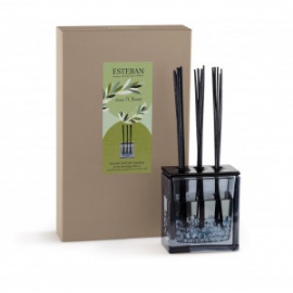 ESTEBAN BOUQUET PARFUME TRIPTYQUE SOUS L'OLIVIER