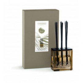 ESTEBAN BOUQUET PARFUME TRIPTYQUE REVE BLANC