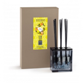 ESTEBAN BOUQUET PARFUME TRIPTYQUE TERRE D'AGRUMES