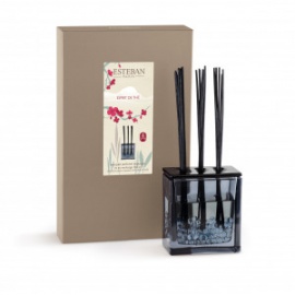 ESTEBAN BOUQUET PARFUME ESPRIT DE THE'