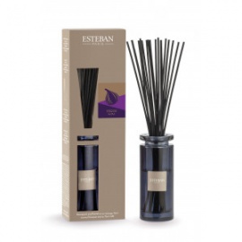 ESTEBAN BOUQUET INITIAL FIGUE NOIRE