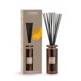 ESTEBAN BOUQUET INITIAL AMBRE