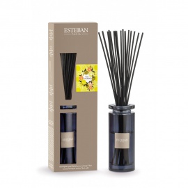 ESTEBAN BOUQUET INITIAL TERRE D'AGRUMES 