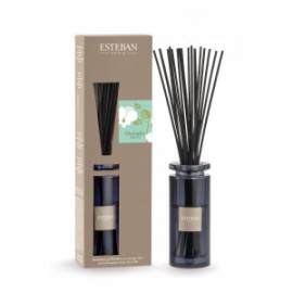 ESTEBAN BOUQUET INITIAL ORCHIDEE BLANCHE 