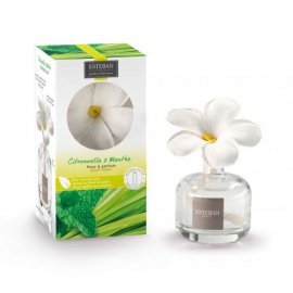 ESTEBAN SCENTED FLOWER WHITE COTTON 