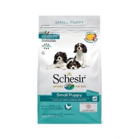 SCHESIR SMALL PUPPY