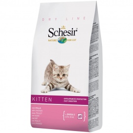 SCHESIR KITTEN