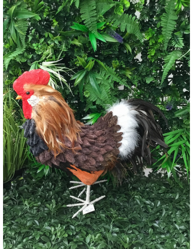 GALLO DECORATIVO CON PIUME H.50 CM