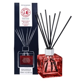 LAMPE BERGER PARIS DIFFUSORE ANTI-ODORI CUCINA 