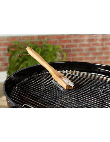 SPAZZOLA PICCOLA WEBER CON MANICO IN...