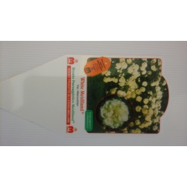 ROSA WHITE MEILLAND 2